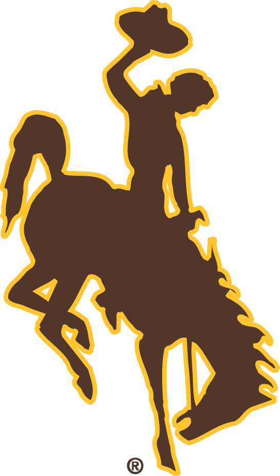 Wyoming Cowboys 2006-Pres Primary Logo DIY iron on transfer (heat transfer)